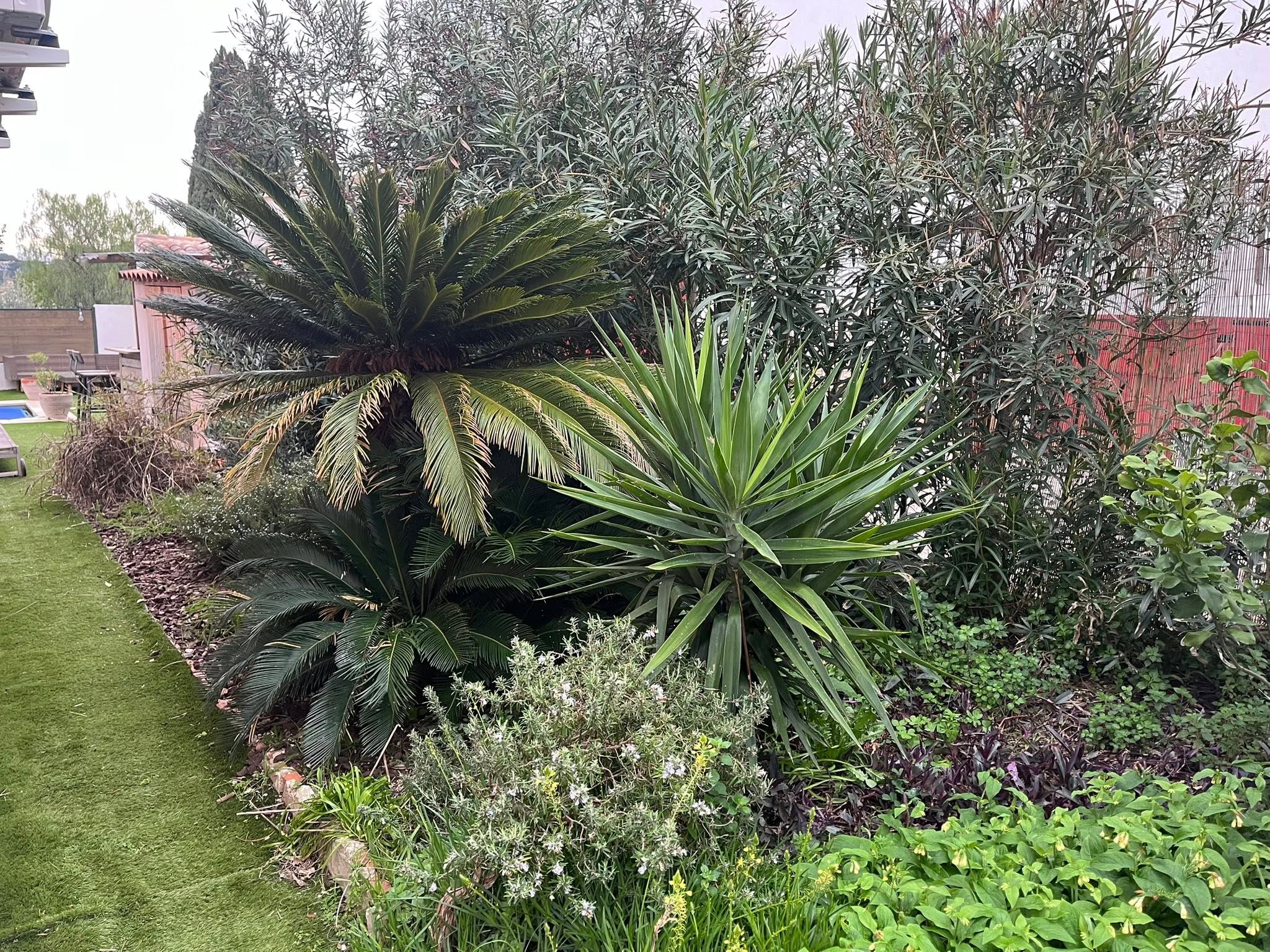 Réhabilitation complète d’un jardin à La Garde